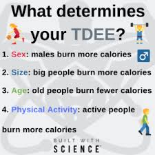 Tdee 101 How Many Calories Should I Eat Tdee Calculator