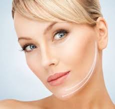 Handal Plastic Surgery, Plastic Surgeon in Boca Raton, FL