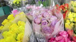 Buy flowers for all occasions. Central Flowers Wellington S Largest Flower Wholesaler