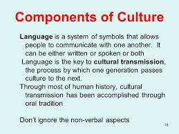 Culture Ppt Video Online Download