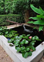 Floating pond plants simply need to be placed upright in the pond. 56 Awesome Mini Ponds To Complete Your Outdoor Decor Digsdigs
