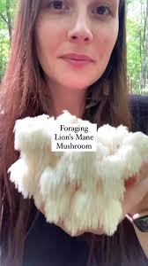 All Non Toxic Mushrooms in Peak