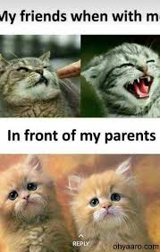 Download Best Funny Animals Images Download Funniest Pictures Of Animals For Status Funny Jokes In Hindi Funny School Jokes Fun Quotes Funny