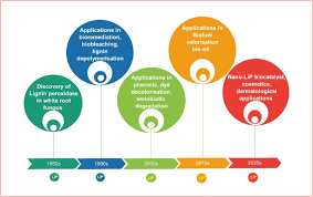 Program case pariuri paste 2019. Lignin Peroxidase In Focus For Catalytic Elimination Of Contaminants A Critical Review On Recent Progress And Perspectives Sciencedirect