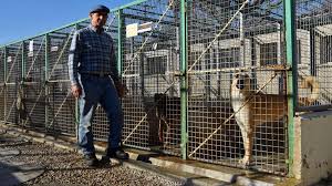 Le nombre d'animaux de compagnie augmente dans les foyers. Chalons Les Animaux Du Refuge Comptent Sur Vous