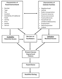 Conceptual Model Of Food Access Conceptual Food Food System