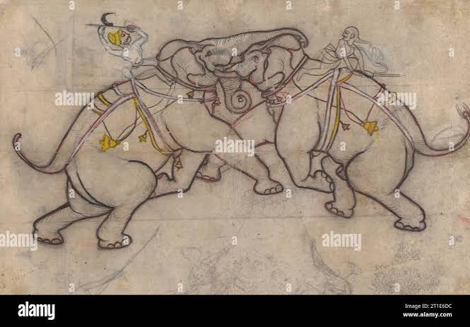 Indian elephant fighting hi-res stock photography and images - Alamy