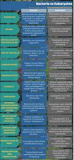 Difference Between Bacteria And Eukaryotes 3 In 2020 What Is Bacteria Prokaryotes Bacteria