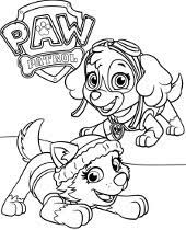 :plkucyki pony, kolorowanki z bajek, kolorowanki. Psi Patrol Darmowe Kolorowanki Do Wydruku