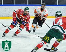 They currently play in the highest swedish league, the swedish hockey league (shl), formerly the elitserien, where they have played for most of the club's. Facebook