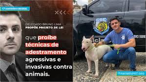Mas sempre vem aquele medo, sabe? Delegado Bruno Lima Propoe Projeto De Lei Que Proibe Agressao No Adestramento De Caes