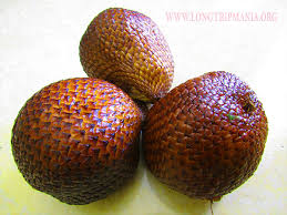 Lampiran mengandungi penerangan tentang pohon buah. Inilah 8 Buah Buahan Paling Populer Di Bali