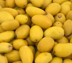 Image result for Manilkara