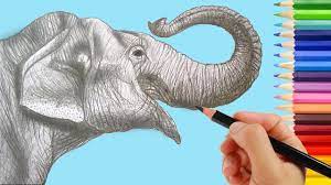 Baby elephant realistic color pencil sketch. Realistic Color Pencil Shading Of An Elephant Step By Step Easy Youtube