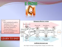 Download the seminar report for electronic nose. Electronic Nose Seyed Farokh Atashzar Supervisor Prof H Taghirad Ppt Video Online Download