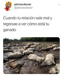 Pin De Logs Ls En Memes Amor En 2020 Frases De Insta Imagenes Humoristicas Memes De Chicas