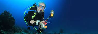 Disabled people have an employment rate that is 28.8 percentage points lower than that of people who are not disabled. Dive Insurance Divers Alert Network