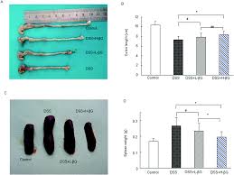 This article tells you everything you need to know. Oat B Glucan Ameliorates Dextran Sulfate Sodium Dss Induced Ulcerative Colitis In Mice Food Function Rsc Publishing
