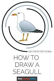 Bird In Hand Half Marathon 2019 How To Draw A Seagull Drawing Tutorial Easy Easy Drawings Drawing Tutorial