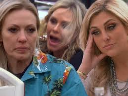 RHOC Recap Season 14 Episode 5: Tamra Catches Braunwyn in a Lie, Gina  Misses DUI Court Appearance