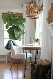 Maybe you would like to learn more about one of these? 7 Diy Wicker And Rattan Lampshades To Make Shelterness