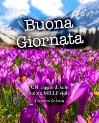 Roma fiori per funerale e lutto consegna corone cuscini. Immagini Di Buongiorno Video E Gif Gratis Per Whatsapp E Facebook