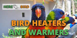 Best Bird Heater Bird Warmer For Cages Lamps Panels Perches