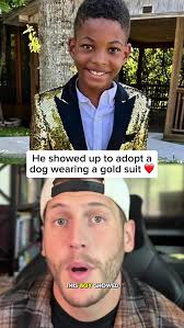 Adopting a Dog in a Gold Suit: A Wholesome Story