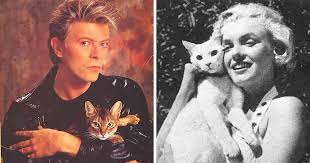 15 Famous People And Their Cats Bored Panda