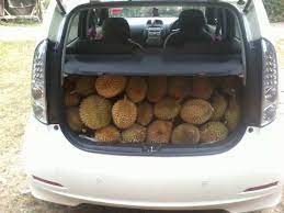Anda dapat membakar buah busuk tsb atau menguburnya. Kaedah Buang Bau Busuk Dalam Kereta Buat Penggemar Buah Durian Maskulin