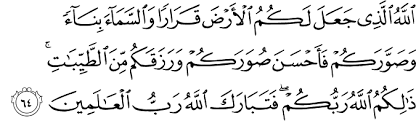 2015 Year In Blogging Celik Tafsir
