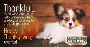 Check spelling or type a new query. Happy Thanksgiving America Fear Free Pets