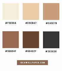 Shades Of Latte And Coffee Color Scheme
