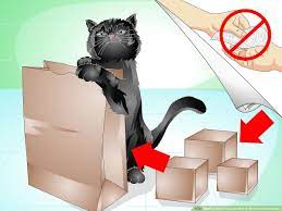 3 Ways To Train Your Cat Not To Scratch The Furniture Wikihow