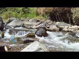 Gemuruhnya Air Sungai Mengalir Deras Untuk Terapi Relaksasi Menjadi Suatu Pemandangan Alam Nan Indah Pemandangan Sungai Air