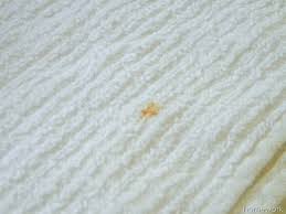 See full list on wikihow.com Homework Homework Tips How To Remove A Rust Stain Remove Rust Stains How To Remove Rust Cleaning Hacks