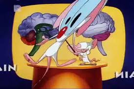 & robynne boyd the cerebrum is the largest part of the human brain. Pinky And The Brain S3e6 Brain S Bogie Video Dailymotion