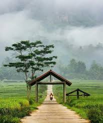 Dekso Kalibawang Kulonprogo Yogyakarta Indonesia Kampung Ane Pemandangan Fotografi Alam Foto Alam