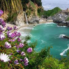 (paid content) trying to convince people to convert to natural beauty products isn't easy. The Beauty Of Nature Home Facebook