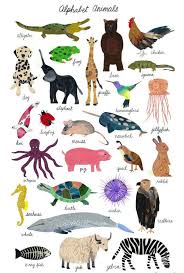 Pin On Animals Pintrest Prente