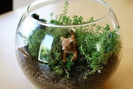 Make A Kid Friendly Terrarium Make And Takes Mini Terrarium Terrarium How To Make Terrariums