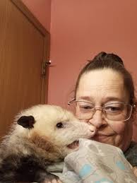 Petunia returns to feeder multiple times at night