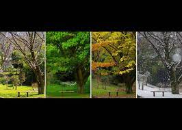 Whether it's maintenance, repair, or installation, we're available 24/7 and you'll always speak to a live person. About Japan S Four Seasons Live Japan Travel Guide