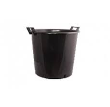 Maybe you would like to learn more about one of these? Fytopromh8eytikh Proionta Sporeia Fyteyshs Glastres Fytwrioy