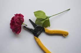 Please let me know your feedback if you like my video. Flower Wall Hanging Diy