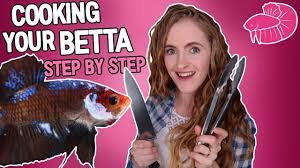Pin On Simply Betta Aquarium Projects