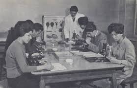 Rtp 7 horas atrás rtp. Sabia Que As Mulheres Muculmanas Nao Usavam Burcas Ou Hijabs Antes Dos Anos 80 Veja As Fotos Newpangea