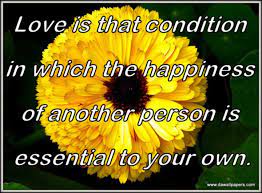 Love Quote And Chrysanthemum Flower Wallpaper Da Wallpapers Chrysanthemum Flower Flower Wallpaper Chrysanthemum