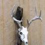 Profile Picture of Tyler Matula (dabearhunter17) - Profile | Pinterest (@pinterest.com) on Google