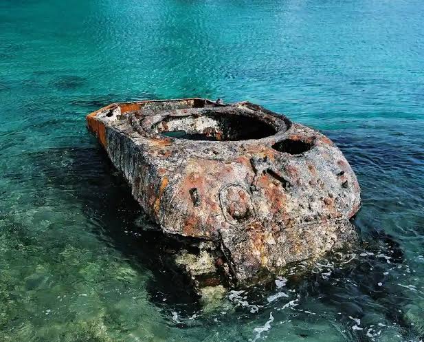 Peleliu Island WWII Historic War Relics Forest Palau